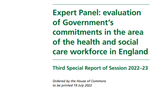 front cover: Expert Panel: Evaluation of Government's commitments in the area of the health and social care workforce in England