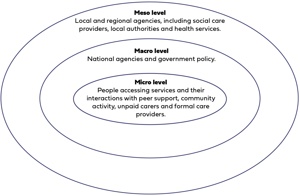 Figure shows Ecosystem levels:
Macro level 
National agencies and government policy. 
Meso level 
Local and regional agencies, including social care providers, local authorities and health services. 
Micro Level
People accessing services and their interactions with peer support, community activity, unpaid carers and formal care providers.
